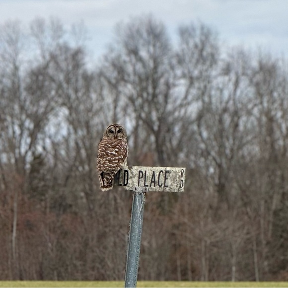 Meet your Posher, Renea! - Picture 13 of 15